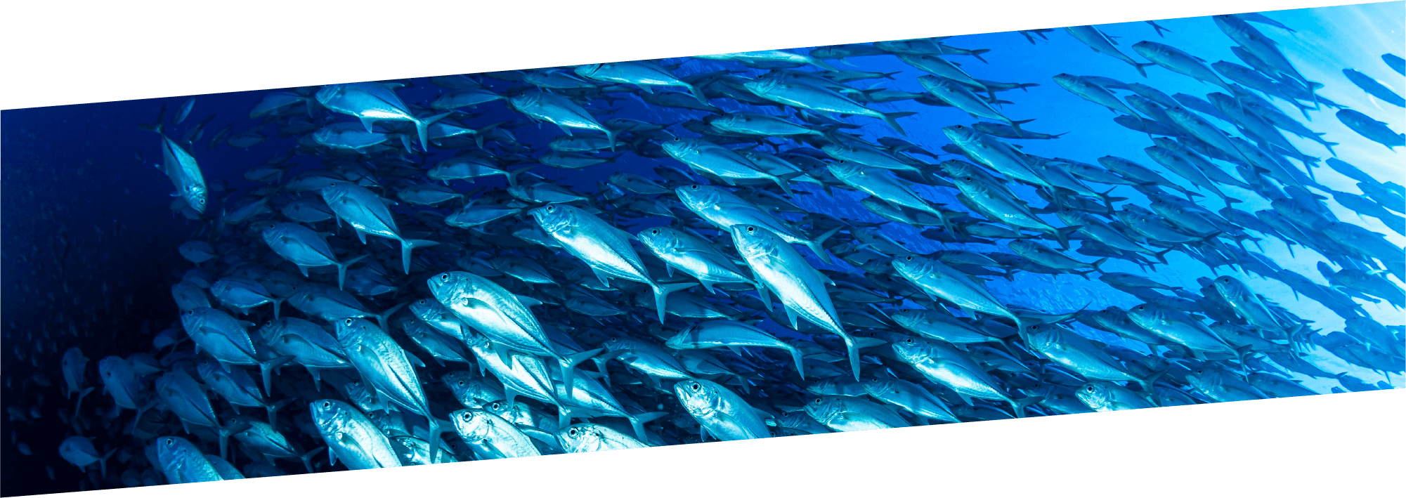 画像：タイトルイメージ