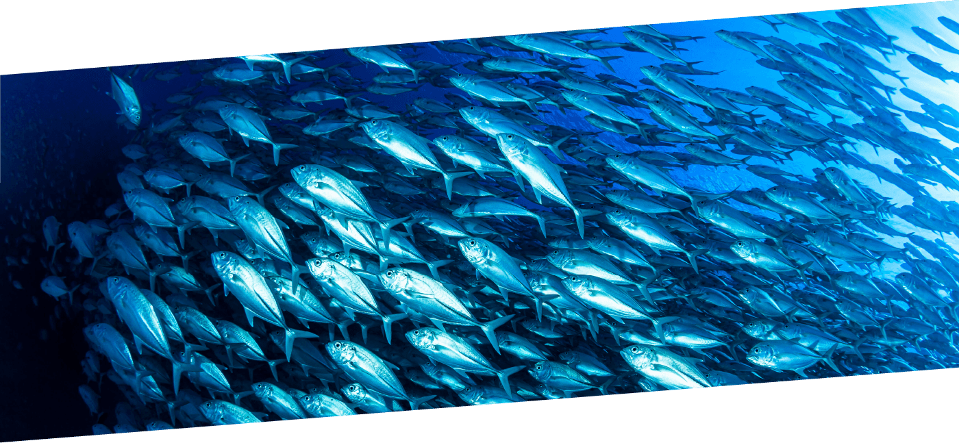 画像：タイトルイメージ