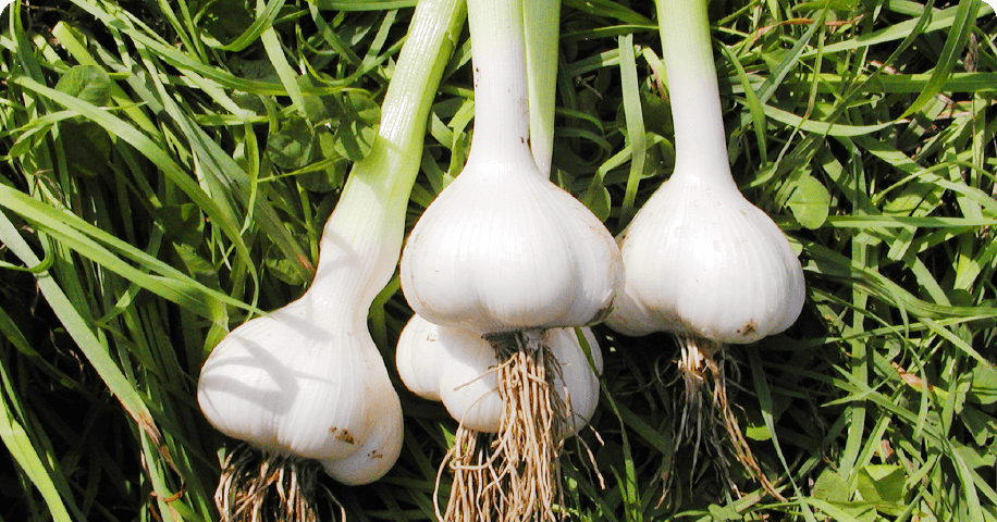 画像:素材イメージ