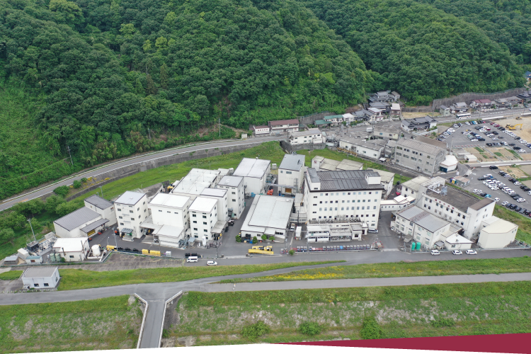 画像：会社全景