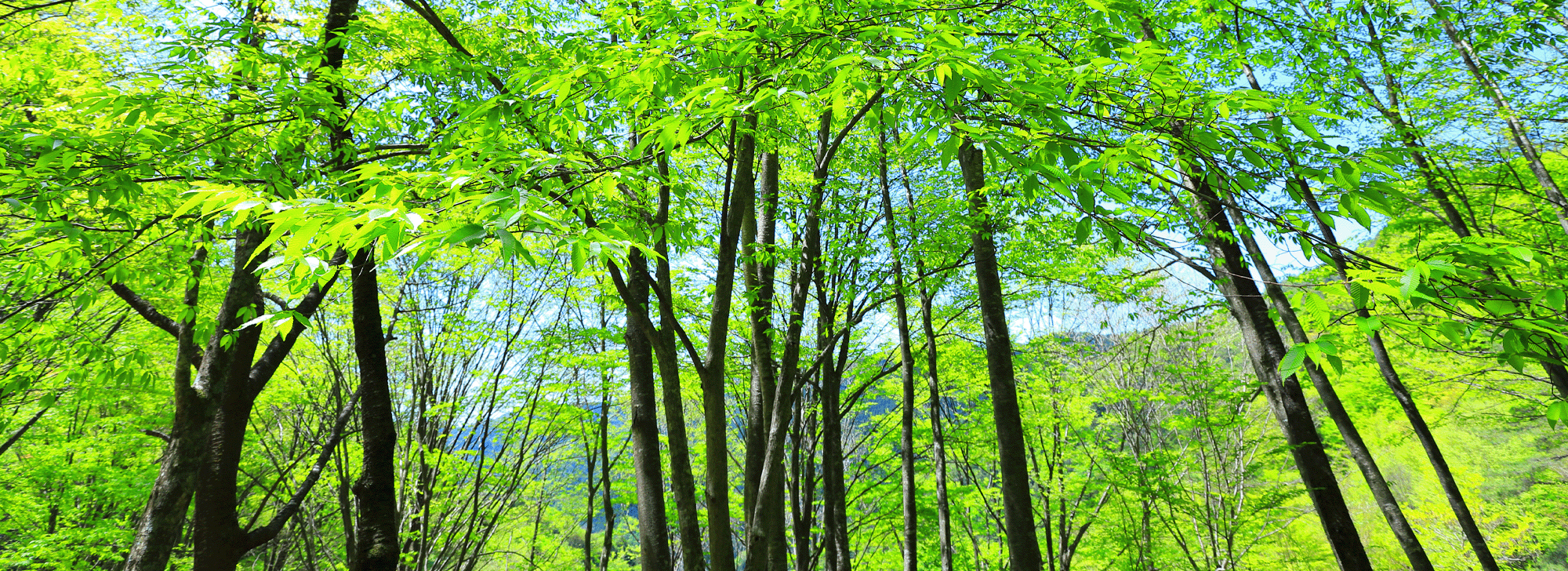 画像:環境対応資材活用イメージ