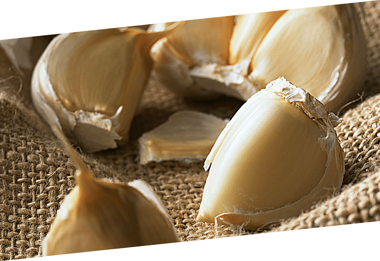 画像:SAC高含有ニンニク